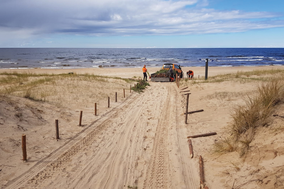 Koka žodziņu veidošana Baltijas jūras pludmalē. Tālumā redzams horizonts. Gaiši zilas debesis, tumši zila jūra ar nelieliem viļņiem un pludmales smiltis. Darbinieki veido žodziņus.